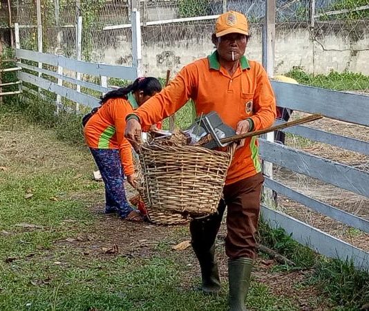 Tiga Bulan Belum Digaji, PHL Terpaksa Hutang untuk Biaya Makan Keluarga Bersihkan Lingkungan. Para PHL sedang membersihkan lingkungan di Pasar Nanga Pinoh. Tugas untuk membersihkan sampah di Kota Nanga Pinoh tetap mereka lakukan. Meskipun gaji mereka belum dibayar pemerintah selama tiga bulan terakhir, Selasa (13/3). Dedi Irawan/RK.
