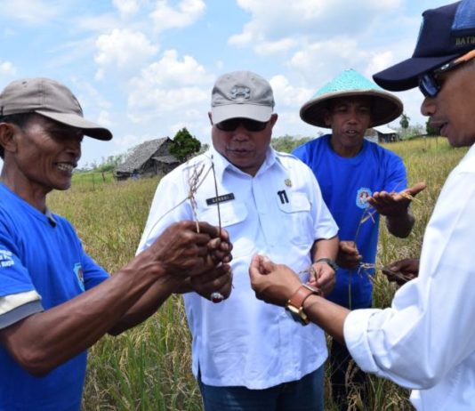 Pemerintah Kubu Raya Berhasil Meraih 50 Penghargaan FOTO: H Rusman Ali