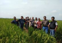 Kebutuhan Benih Unggul di Kalbar Sebanyak 7.500 Ton Studi Banding. Anggota DPRD Provinsi Kalbar, H Ujang Sukandar, SP, MM melakukan kunjungan kerja ke PT Sang Hyang Seri Jawa Barat. Dalam rangka studi banding penangkaran benih padi unggul nasional sejak 26 hingga 28 Februari lalu. Humas for Rakyat Kalbar