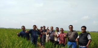 Kebutuhan Benih Unggul di Kalbar Sebanyak 7.500 Ton Studi Banding. Anggota DPRD Provinsi Kalbar, H Ujang Sukandar, SP, MM melakukan kunjungan kerja ke PT Sang Hyang Seri Jawa Barat. Dalam rangka studi banding penangkaran benih padi unggul nasional sejak 26 hingga 28 Februari lalu. Humas for Rakyat Kalbar