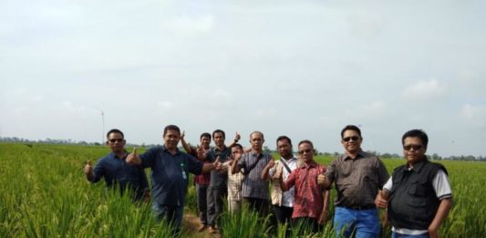 Kebutuhan Benih Unggul di Kalbar Sebanyak 7.500 Ton Studi Banding. Anggota DPRD Provinsi Kalbar, H Ujang Sukandar, SP, MM melakukan kunjungan kerja ke PT Sang Hyang Seri Jawa Barat. Dalam rangka studi banding penangkaran benih padi unggul nasional sejak 26 hingga 28 Februari lalu. Humas for Rakyat Kalbar