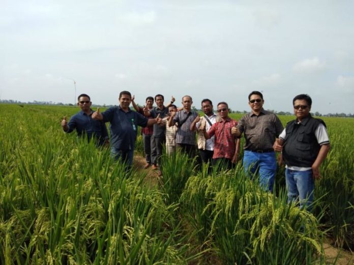 Studi Banding. Anggota DPRD Provinsi Kalbar, H Ujang Sukandar, SP, MM melakukan kunjungan kerja ke PT Sang Hyang Seri Jawa Barat. Dalam rangka studi banding penangkaran benih padi unggul nasional sejak 26 hingga 28 Februari lalu. Humas for Rakyat Kalbar