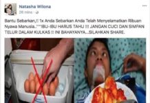 Jangan Percaya Larangan Simpan Telur di Kulkas