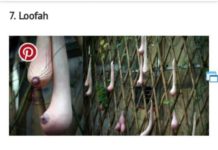 Buah Palsu Dikira Asli