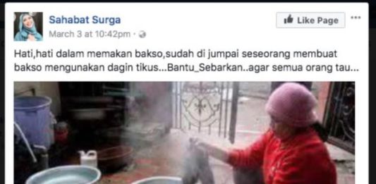 Daging Tikus di Thailand Bukan untuk Bakso