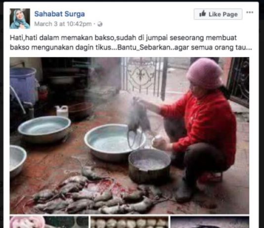 Daging Tikus di Thailand Bukan untuk Bakso