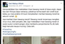 Irisan Bawang Merah Bisa Mengikat Virus? Cuma Mitos!