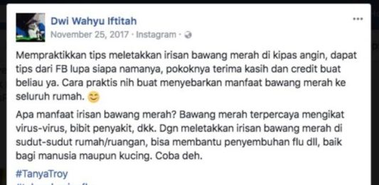 Irisan Bawang Merah Bisa Mengikat Virus? Cuma Mitos!