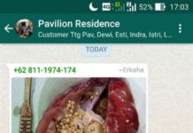 Soft Drink dan Batu Ginjal