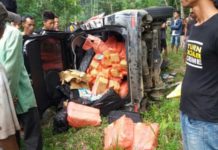 Aksi Polisi di Dua Kabupaten Membekuk Bandit PANIK, MOBIL PUN TERBALIK. Xenia hitam pembawa sosis ilegal yang terbalik di Dusun Aping, Desa Tunang, Kecamatan Mempawah Hulu Karangan, setelah dikejar anggota Polsek Teriak, Bengkayang, Selasa (13/3). INZET: Geri Rivaldo Muslim, pengemudi Xenia hitam tersebut. Polres Bengkayang for Rakyat Kalbar