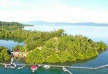 Dulu Pembuangan Kucing, kini Datangkan Untung Rp400 juta PULAU FENOMENAL. Foto udara Pulau Kucing. Foto lain, jejeran gazebo dan mangrove di Pulau Kucing yang sukses mendatangkan ribuan wisatawan. ZAM FOR MALUT POST