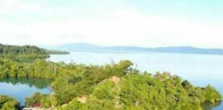 Dulu Pembuangan Kucing, kini Datangkan Untung Rp400 juta PULAU FENOMENAL. Foto udara Pulau Kucing. Foto lain, jejeran gazebo dan mangrove di Pulau Kucing yang sukses mendatangkan ribuan wisatawan. ZAM FOR MALUT POST