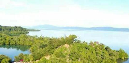 Dulu Pembuangan Kucing, kini Datangkan Untung Rp400 juta PULAU FENOMENAL. Foto udara Pulau Kucing. Foto lain, jejeran gazebo dan mangrove di Pulau Kucing yang sukses mendatangkan ribuan wisatawan. ZAM FOR MALUT POST