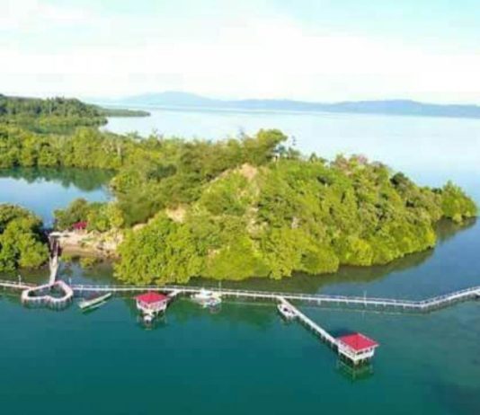 Dulu Pembuangan Kucing, kini Datangkan Untung Rp400 juta PULAU FENOMENAL. Foto udara Pulau Kucing. Foto lain, jejeran gazebo dan mangrove di Pulau Kucing yang sukses mendatangkan ribuan wisatawan. ZAM FOR MALUT POST