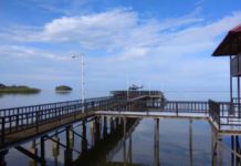 OSO Sosialisasi 4 Pilar di Sukadana