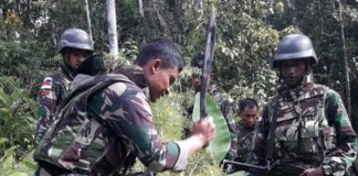 Anggota Yonif RK 644/Wls Temukan Tiga Pohon Ganja