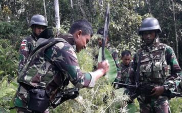 Anggota Yonif RK 644/Wls Temukan Tiga Pohon Ganja