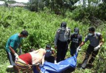 Dua Hari Tak Pulang, Ditemukan Jadi Mayat Anggota Polsek Parindu mengevakuasi tubuh korban