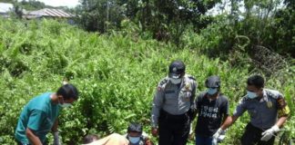 Dua Hari Tak Pulang, Ditemukan Jadi Mayat Anggota Polsek Parindu mengevakuasi tubuh korban