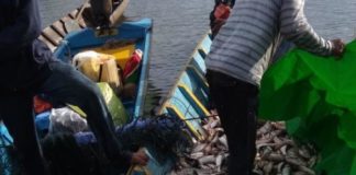 Panen 3 Ton Ikan PANEN IKAN. Ratusan kilo ikan entukan berhasil panen warga di Danau Baru, Desa Nanga Embaloh Kecamatan Embaloh Hilir Kabupaten Kapuas Hulu, belum lama ini. Andreas-RK