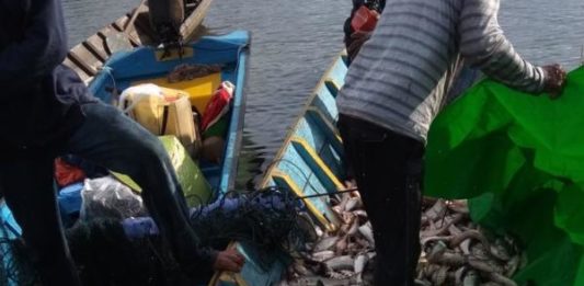 Panen 3 Ton Ikan PANEN IKAN. Ratusan kilo ikan entukan berhasil panen warga di Danau Baru, Desa Nanga Embaloh Kecamatan Embaloh Hilir Kabupaten Kapuas Hulu, belum lama ini. Andreas-RK