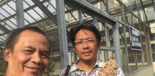 Visi Nuklir Bung Karno SORGUM BATAN. Jto dan Ir. Bahrun dengan sorgum hasil budidaya Batan. JTO for RK