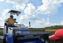 Kelam Permai Bisa Jadi Lumbung Padinya Kalbar