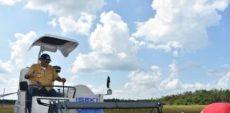 Kelam Permai Bisa Jadi Lumbung Padinya Kalbar