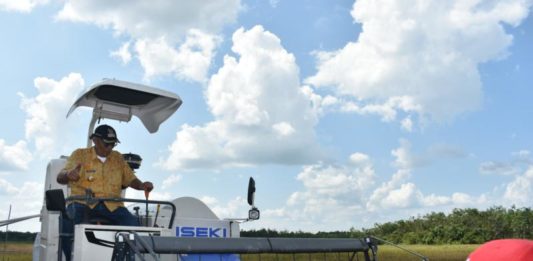 Kelam Permai Bisa Jadi Lumbung Padinya Kalbar