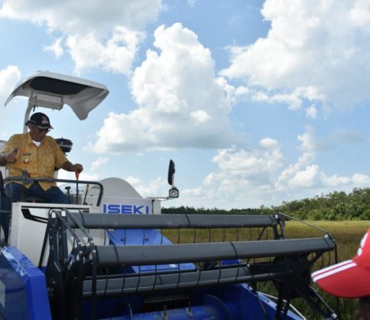 Kelam Permai Bisa Jadi Lumbung Padinya Kalbar
