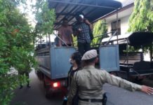 Digerebek Lagi Hohohihi, Mahasiswa Sembunyikan Pacar dalam Lemari TERJARING. Pasangan bukan suami istri ini terjaring razia Satpol PP Kota Pontianak, Kamis (19/4) pagi--Andi Ridwansyah/RK