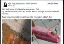 Katak di Dalam Es Krim