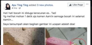 Katak di Dalam Es Krim