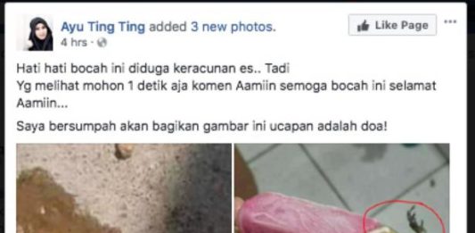 Katak di Dalam Es Krim
