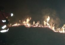 Hutan di Luar Zona TNDS Terbakar KEBAKARAN. Petugas Manggala Agni Brigdalkarhut Tana Bentarum bersama tim gabungan tengah berupaya memadamkan api yang membakar hutan rawa kerdil di wilayah Sungai Marsaga, Kecamatan Suhaid, Kamis (5/4)--Humas BBTNBKDS for RK