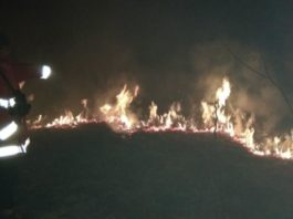 KEBAKARAN. Petugas Manggala Agni Brigdalkarhut Tana Bentarum bersama tim gabungan tengah berupaya memadamkan api yang membakar hutan rawa kerdil di wilayah Sungai Marsaga, Kecamatan Suhaid, Kamis (5/4)--Humas BBTNBKDS for RK