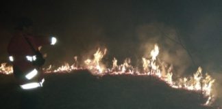 Hutan di Luar Zona TNDS Terbakar KEBAKARAN. Petugas Manggala Agni Brigdalkarhut Tana Bentarum bersama tim gabungan tengah berupaya memadamkan api yang membakar hutan rawa kerdil di wilayah Sungai Marsaga, Kecamatan Suhaid, Kamis (5/4)--Humas BBTNBKDS for RK