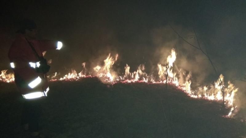 KEBAKARAN. Petugas Manggala Agni Brigdalkarhut Tana Bentarum bersama tim gabungan tengah berupaya memadamkan api yang membakar hutan rawa kerdil di wilayah Sungai Marsaga, Kecamatan Suhaid, Kamis (5/4)--Humas BBTNBKDS for RK