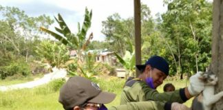 Hewan Penular Rabies Berkeliaran Bisa Resahkan Warga SUNTIK VAR. Petugas Vaksinator Distankan Melawi melakukan penyuntikan VAR kepada HPR milik warga, belum lama ini. Nining Yulianti for RK