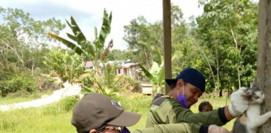 Hewan Penular Rabies Berkeliaran Bisa Resahkan Warga SUNTIK VAR. Petugas Vaksinator Distankan Melawi melakukan penyuntikan VAR kepada HPR milik warga, belum lama ini. Nining Yulianti for RK