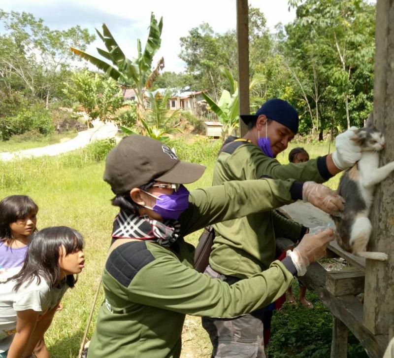 SUNTIK VAR. Petugas Vaksinator Distankan Melawi melakukan penyuntikan VAR kepada HPR milik warga, belum lama ini. Nining Yulianti for RK