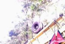 Truk Pembawa Kayu Ilegal Terbalik TERBALIK. Truk pembawa kayu ilegal ketika terbalik di tahlut. Saat ini truk beserta kayu dan pemiliknya sudah diamankan di Polres Melawi--Polisi for RK