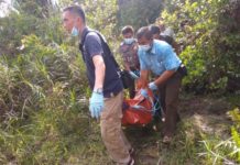 Warga Desa Sekilap Geger, Mayat Pianus Ditemukan di Kebun Sawit