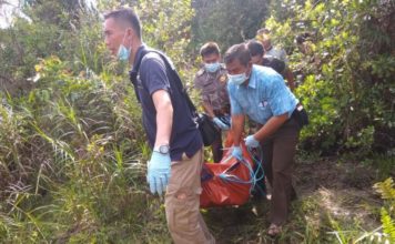 Warga Desa Sekilap Geger, Mayat Pianus Ditemukan di Kebun Sawit