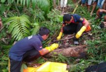 Kerangka Ludin Ditemukan di Ladang OLAH TKP. Tim Inafis Polres Sekadau tengah melakukan olah TKP di tempat penemuan kerangka Ludin di Engkersik, Jumat (6/4)--Polisi for Rakyat Kalbar