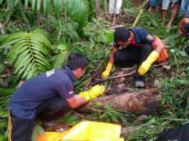 OLAH TKP. Tim Inafis Polres Sekadau tengah melakukan olah TKP di tempat penemuan kerangka Ludin di Engkersik, Jumat (6/4)--Polisi for Rakyat Kalbar