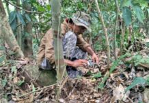Ketawa Keras di Hutan itu Telah Hilang