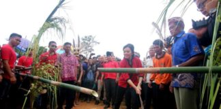 Wah! Ternyata Karolin Sudah Banyak Buka Wilayah Terisolasi Kalbar