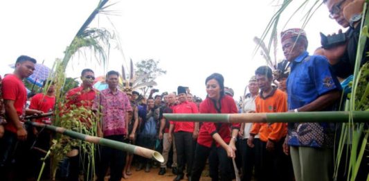 Wah! Ternyata Karolin Sudah Banyak Buka Wilayah Terisolasi Kalbar