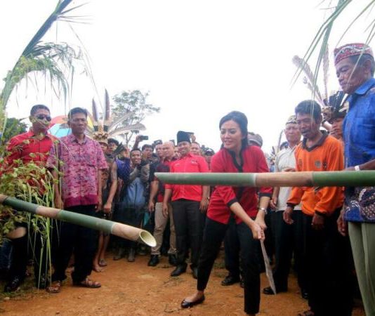 Wah! Ternyata Karolin Sudah Banyak Buka Wilayah Terisolasi Kalbar